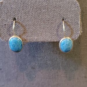 Blue & sterling silver earrings